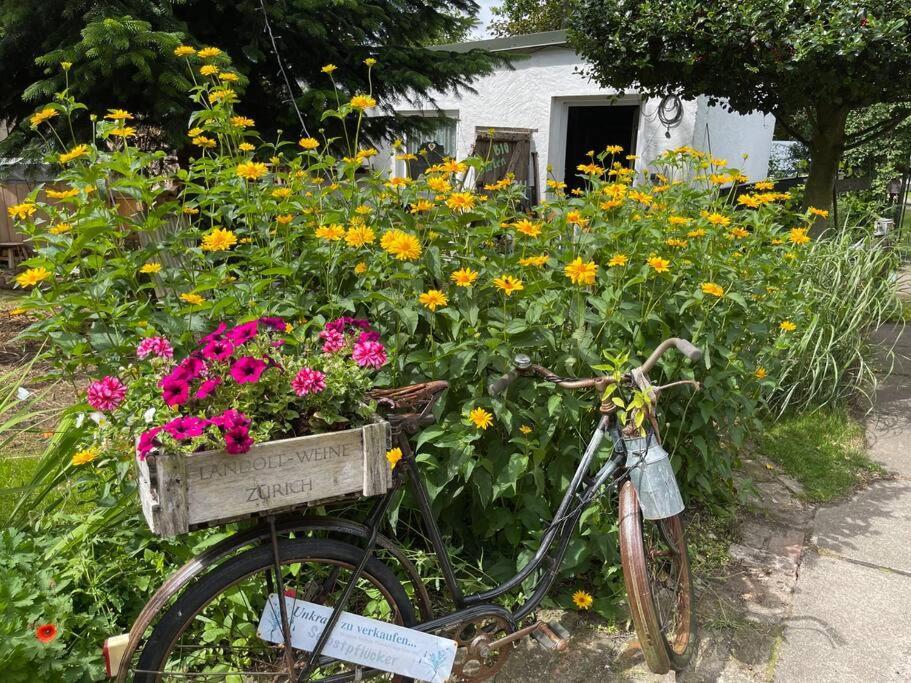 Tiny House Ostsee # Naturwerk Pruchten Exteriér fotografie