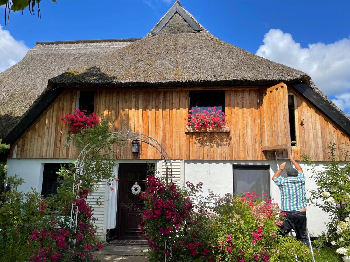 Tiny House Ostsee # Naturwerk Pruchten Exteriér fotografie