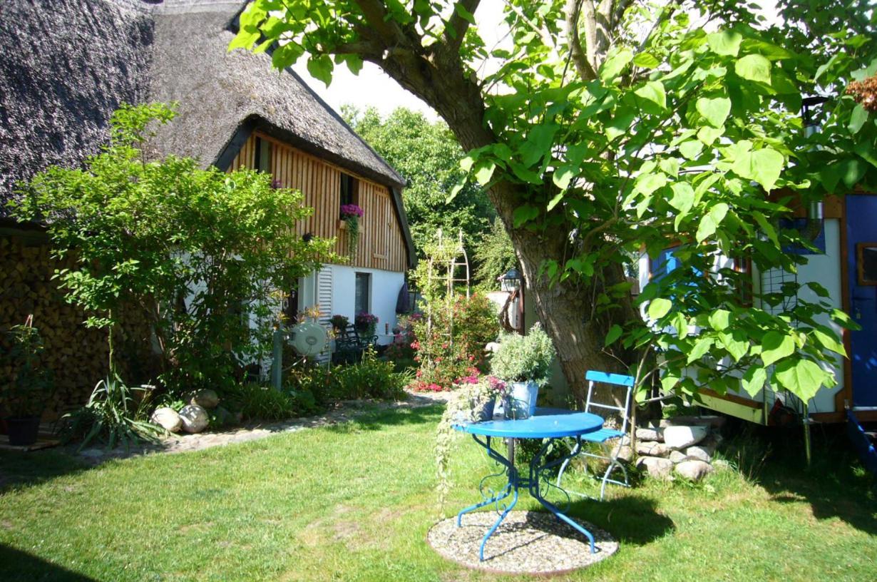 Tiny House Ostsee # Naturwerk Pruchten Exteriér fotografie