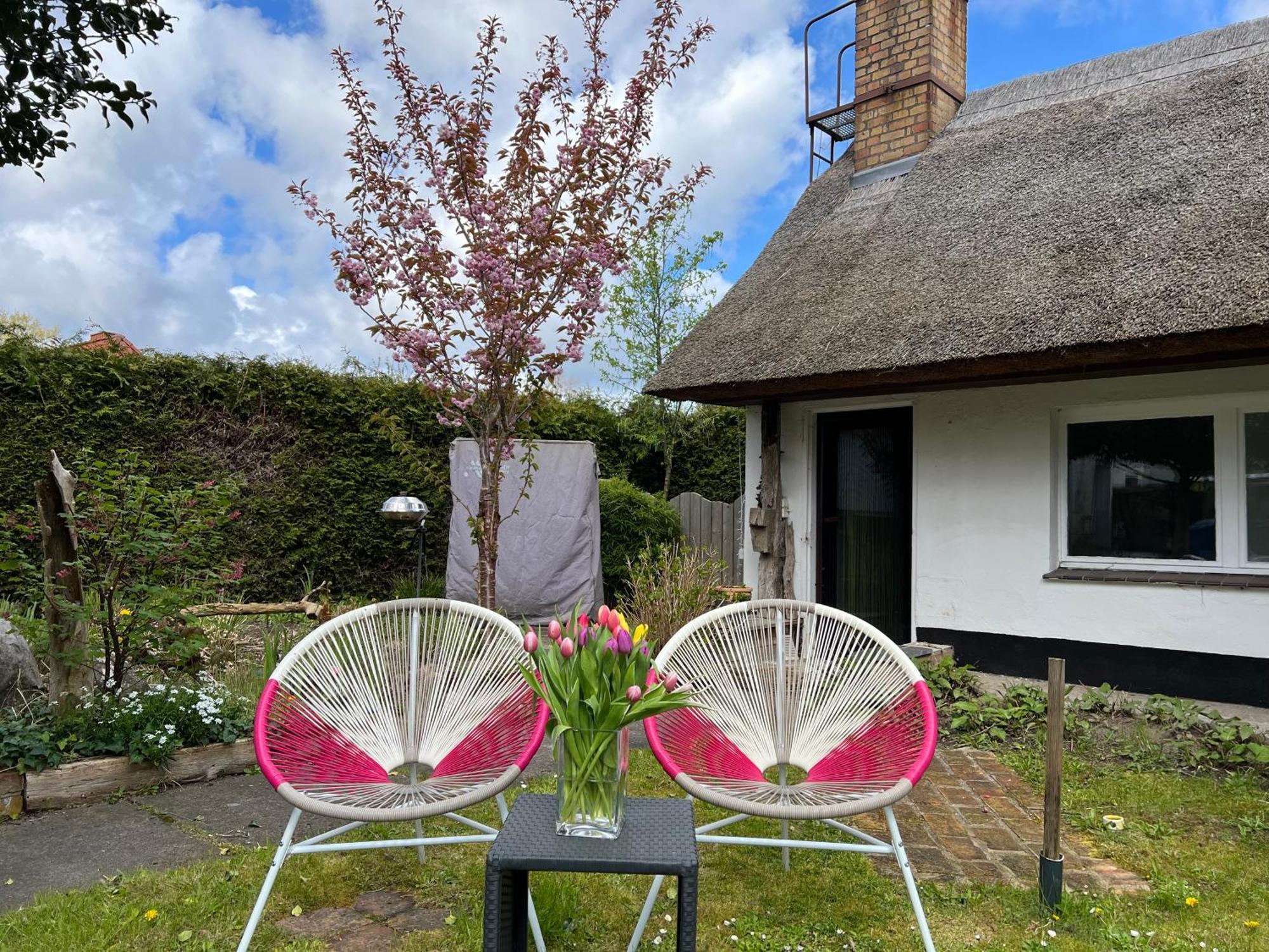 Tiny House Ostsee # Naturwerk Pruchten Exteriér fotografie
