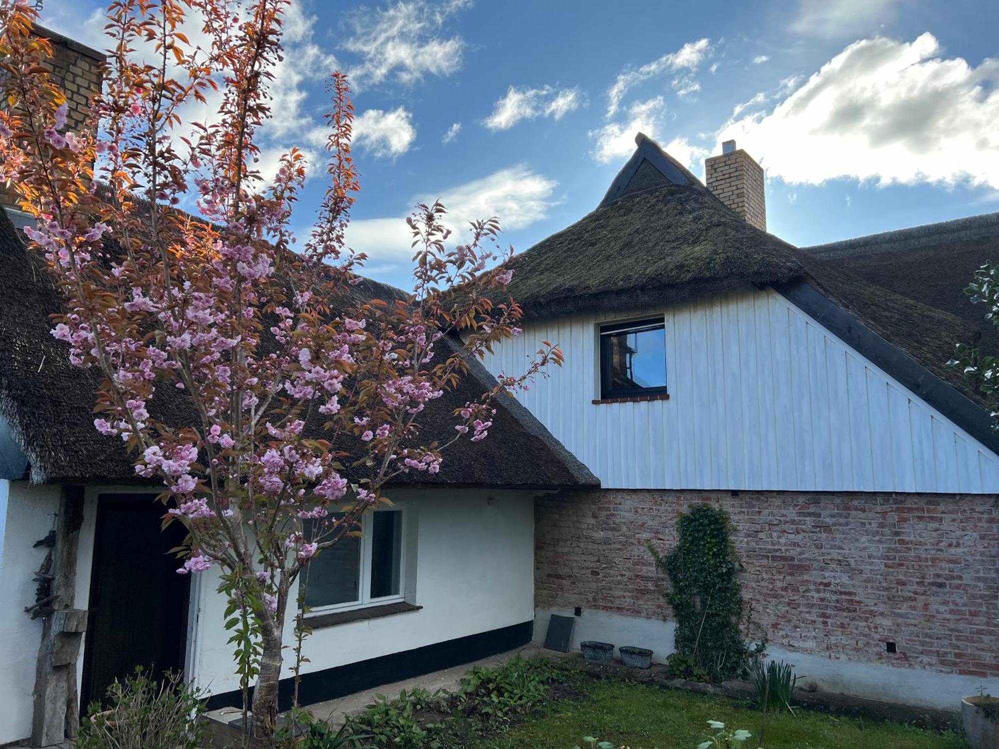 Tiny House Ostsee # Naturwerk Pruchten Exteriér fotografie